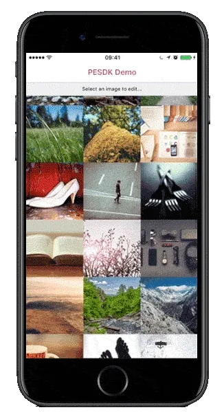 The iOS demo app running on a device.