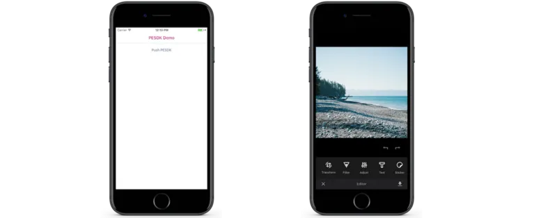 Our initial result: The button pushes our SDK with a sample image.