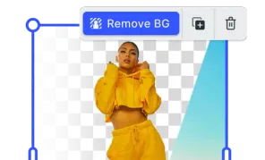 Preview of Background Removal Plugin demo