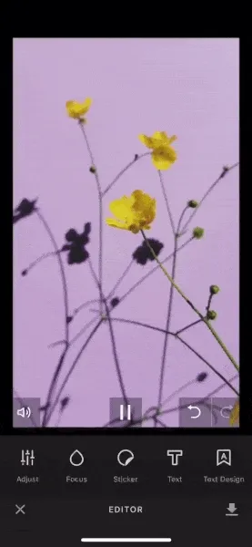 Let your users create beautiful visuals with Sticker Background Removal.