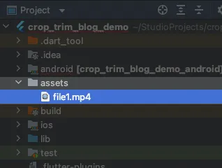 Copy your video of choice to your assets folder at the root of your project folder.