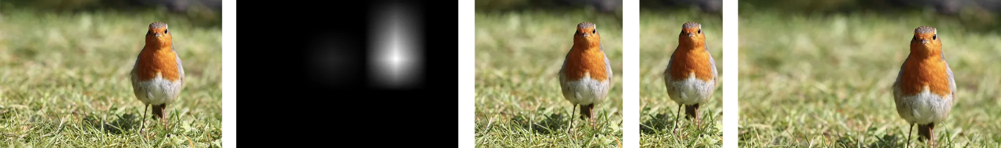 Original image, saliency map, square, 16:9, and 9:16 versions