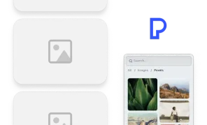 Preview of Pexels Asset Library demo