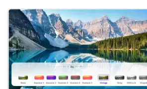 Preview of Custom Photo UI demo