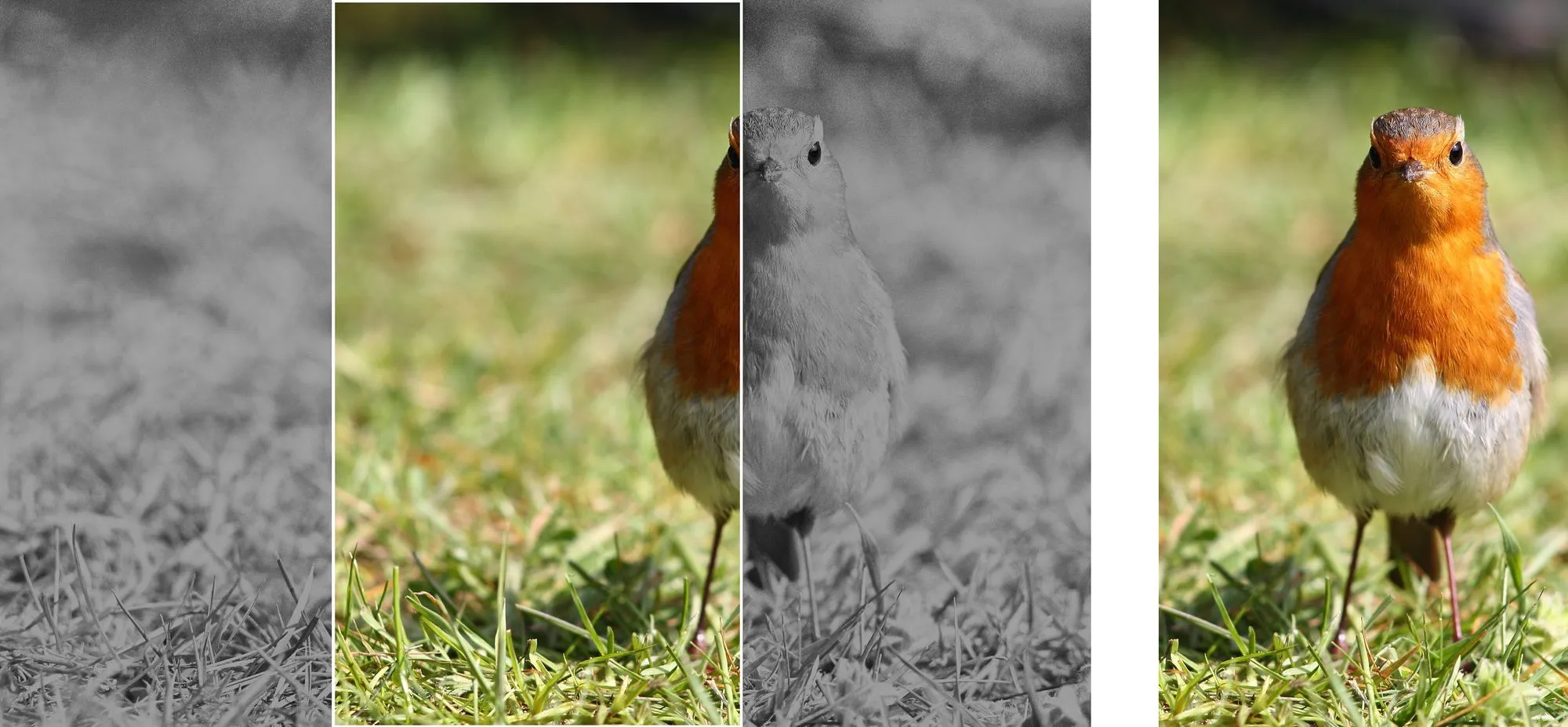 A bad image cutout (left) and a good one (right)