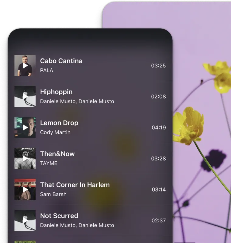 Soundstripe music library integrated into the IMG.LY video editor for soundtrack selection