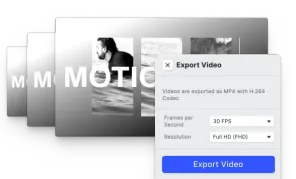 Preview of Video Export Options demo